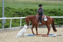 Eiken_2011