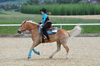 Eiken_2011