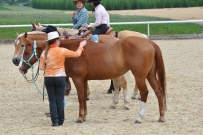 Eiken_2011