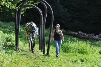 Extreme_Trail_2020