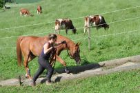 Extreme_Trail_2020