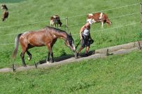 Extreme_Trail_2020
