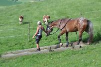 Extreme_Trail_2020
