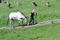 Extreme_Trail_2020