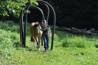 Extreme_Trail_2020