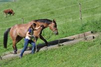 Extreme_Trail_2020
