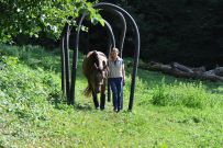 Extreme_Trail_2020