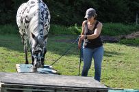 Extreme_Trail_2020