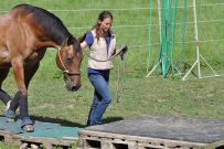 Extreme_Trail_2020