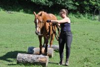 Extreme_Trail_2020