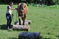Extreme_Trail_2020
