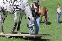 Extreme_Trail_2020
