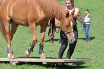 Extreme_Trail_2020