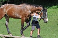 Extreme_Trail_2020