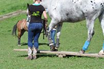 Extreme_Trail_2020