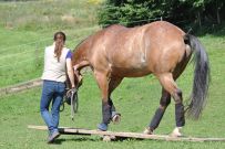 Extreme_Trail_2020