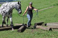 Extreme_Trail_2020