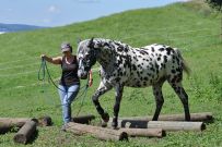 Extreme_Trail_2020