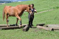 Extreme_Trail_2020