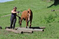 Extreme_Trail_2020
