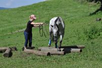 Extreme_Trail_2020