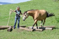 Extreme_Trail_2020