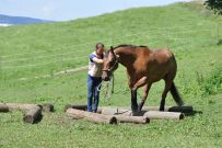 Extreme_Trail_2020