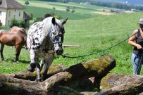 Extreme_Trail_2020