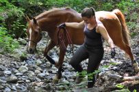 Extreme_Trail_2020