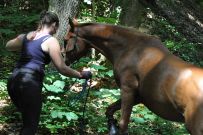 Extreme_Trail_2020