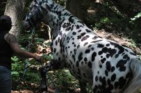 Extreme_Trail_2020