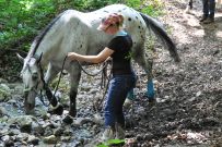 Extreme_Trail_2020