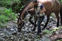 Extreme_Trail_2020