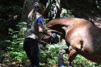 Extreme_Trail_2020