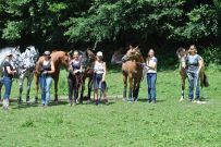 Extreme_Trail_2020