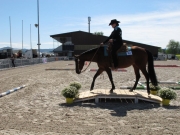 Fehraltorf_2015