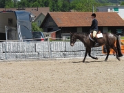 Fehraltorf_2015