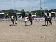 Fehraltorf_2015