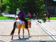 Fehraltorf_2015