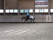 Fehraltorf_2015