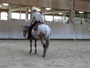 Fehraltorf_2015
