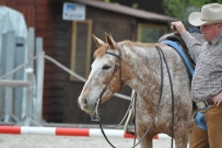 Fehraltorf_2016