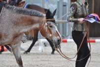 Fehraltorf_2016