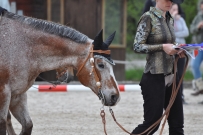 Fehraltorf_2016