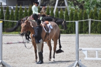 Fehraltorf_2016