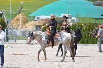 Fehraltorf_2016