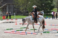 Fehraltorf_2016