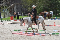 Fehraltorf_2016