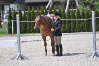 Fehraltorf_2016