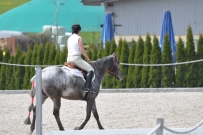 Fehraltorf_2016